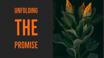 Unfolding the Promise